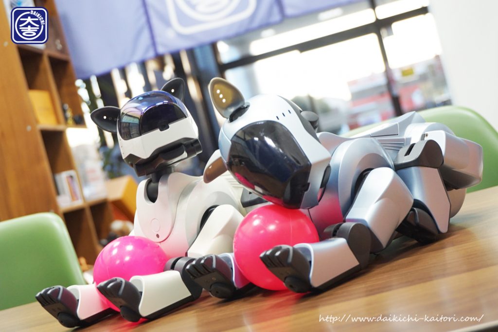 aibo アイボ ロボット