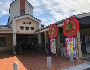 日之影 道の駅 青雲橋