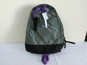 GREGORYグレゴリー×BEAMS BOYコラボ DAYPACK1977・リュックサック・40th記念モデル