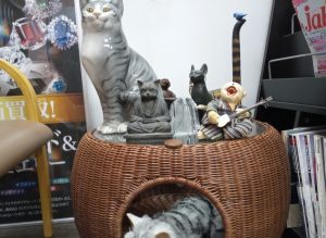 猫グッズ,緑区,買取