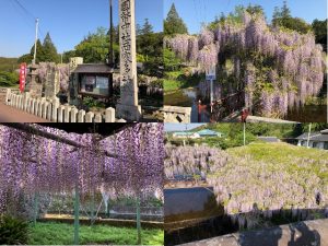 買取 延岡 西寒田神社